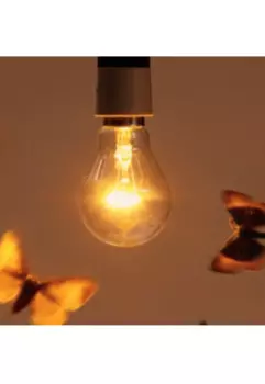 Воскрешение мотыльков