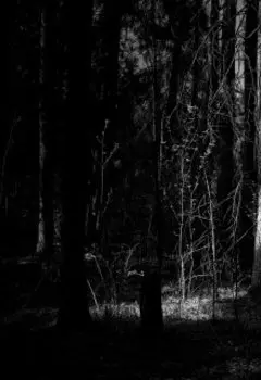 Воскресшие сны Глава 1 Черный замок