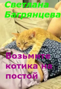 Возьмите котика на постой