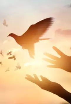 Возрастные вежи