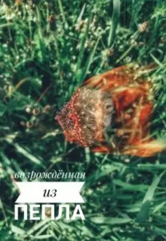 Возрождённая из пепла