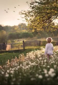 Вредные хотелки