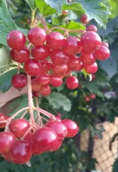 Все имеют право на счастье