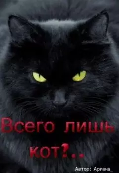 Всего лишь кот?..