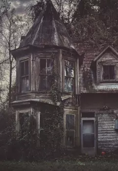 Всё из-за неё. Из-за этой книги.