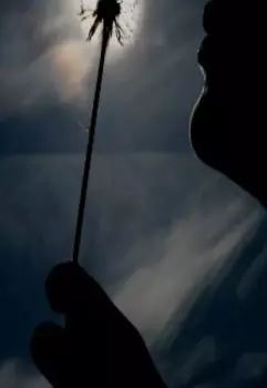 Вся жизнь в один миг