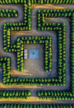 Всякая всячина