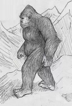 Встреча с йети