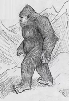 Встреча сйтеи