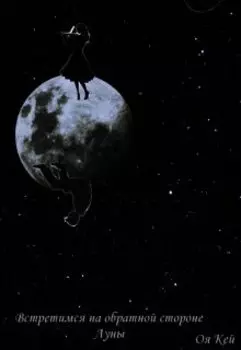 Встретимся на обратной стороне Луны