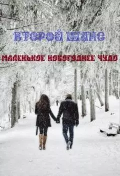 Второй Шанс. Маленькое новогоднее чудо