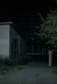 Выдуманная история