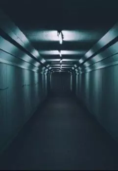 Высшая мера