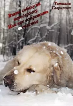 Взять собаку на передержку. Или как встретить счастье