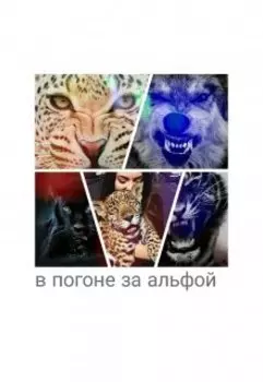 в погоне за альфой