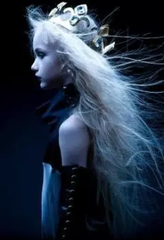 Я, Анна-Валентина (шестьдесят дней из истории Льяваса)