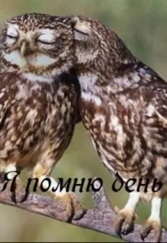 Я помню день