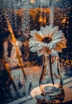 Я приду к тебе дождем