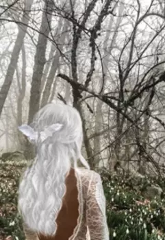 Я тебя нашёл