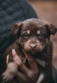 Я тебя ненавижу!