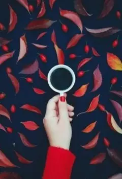 Я уеду жить в сказку