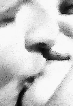 Я умею прогибаться или я из детдома