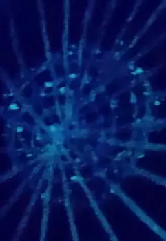 Ядро Эволюции