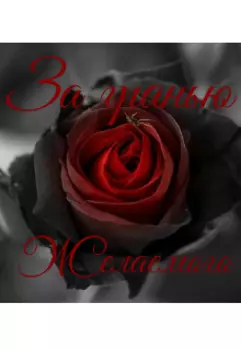 За гранью желаемого