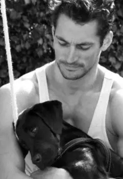 За зимними туманами