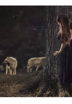 Заблуждение