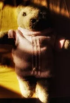 Забытые игрушки