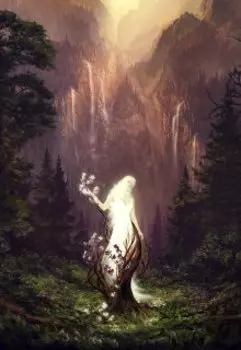 Загадка лесного света (2)