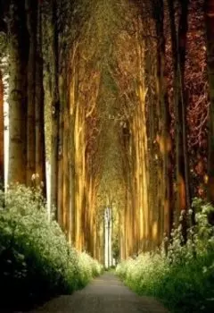 Загадочный визитёр