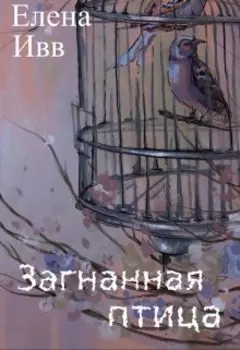 Загнанная птица