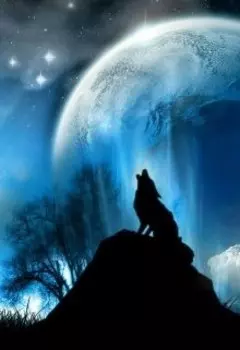 Закон бумеранга