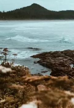 Законченность инерции в покое шага времени