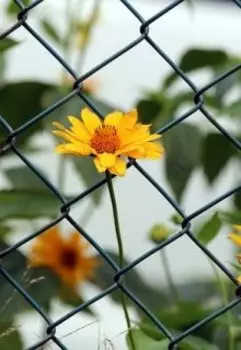 Закрытый поселок