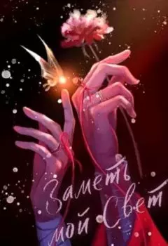 Заметь мой свет