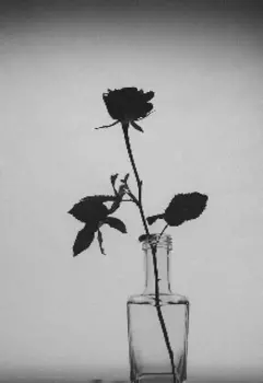 Замуж за Нильсена