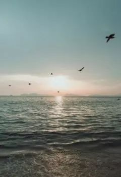 Занесённое смертью оружие воли