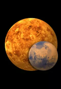 Запах Жареного Цыпленка