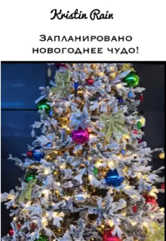 Запланировано новогоднее чудо!