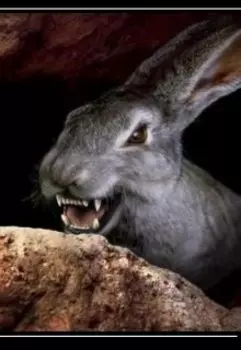 Заяц в лапах орла.