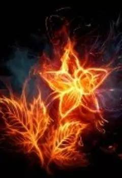 Заветное желание