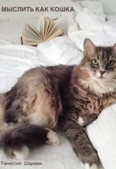 Завтрак у Тиниссии