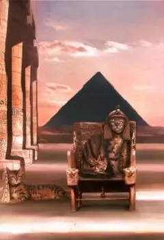 Здесь обитают кошки