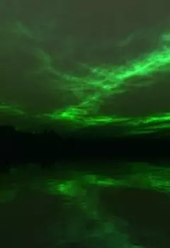 Зеленый свет