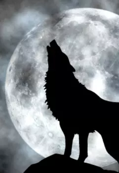 Желание быть пойманным