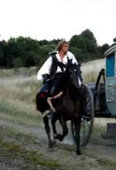 Желание тепла