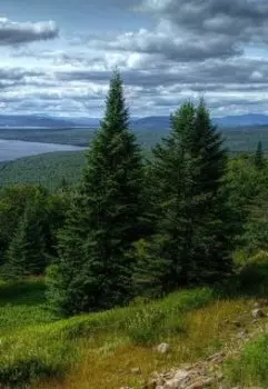 Жена Богом дана